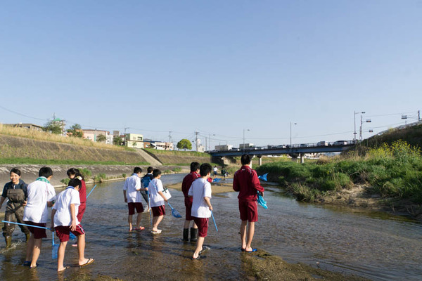 ぴー太郎-18041312