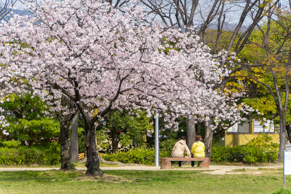 楠葉東公園-20040720