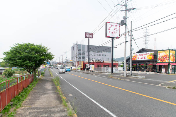 ローズ-2005266