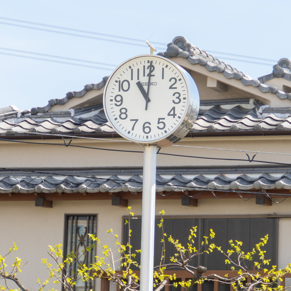 ふなはし公園-2004079