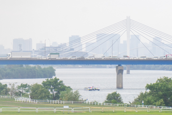 スケボー-20102214