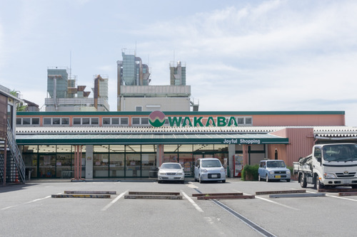 スーパーワカバ大峰店-15090503