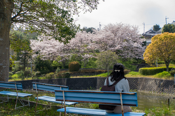 穂谷新池公園-2004076