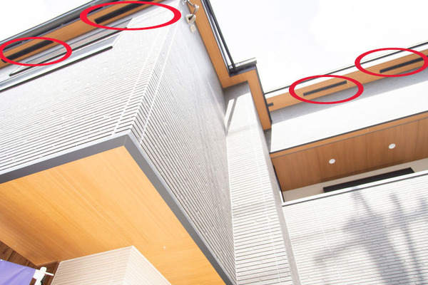 マル付けた画像