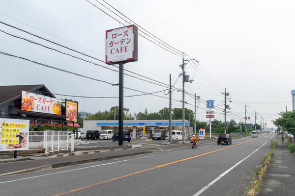 ローズ-2005267