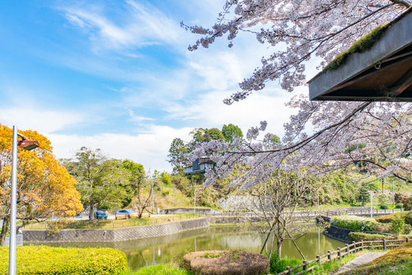 穂谷新池公園-20040715