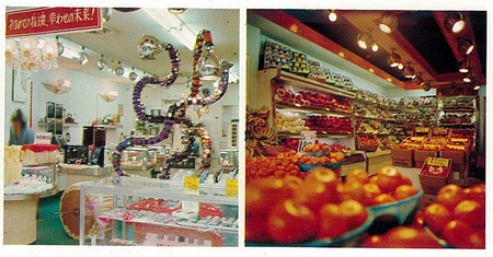 くずはセンチュリータウンパンフ10