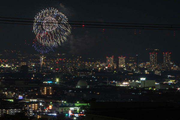 サイエンス1-2008301