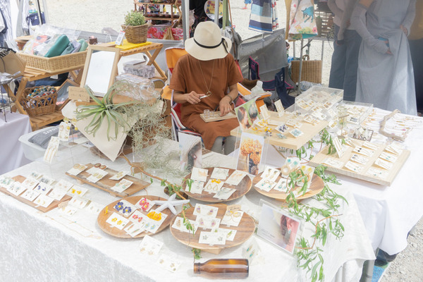 ひらかぐレポ小-172