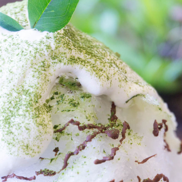 フラッグ-1808022