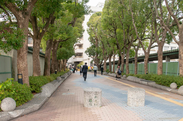 ふれあい少年-1811261