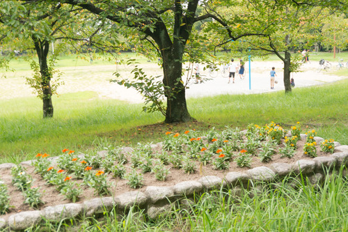 くずはワイン-210