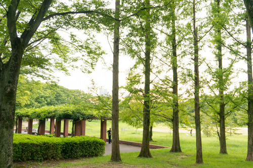 くずはワイン-198