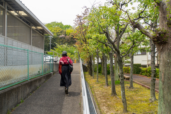 菊丘南公園-2004175