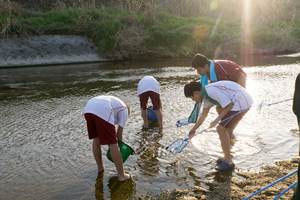 ぴー太郎-18041334