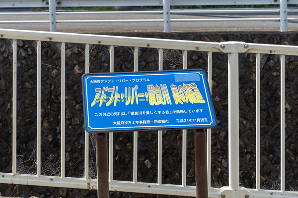 讃良川-2008184