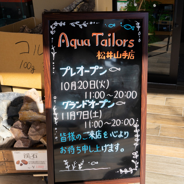 アクアテイラーズ-2010202