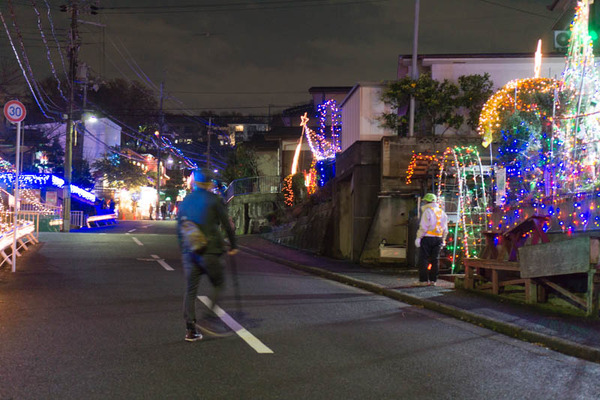 山ナリエ-1612092