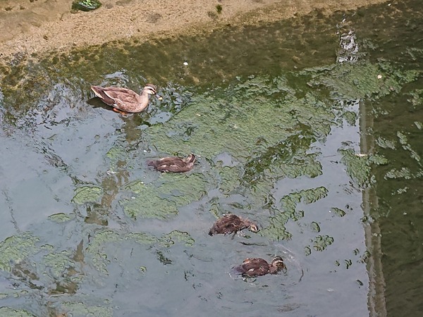 Photo_20-06-29-09-48-19.579