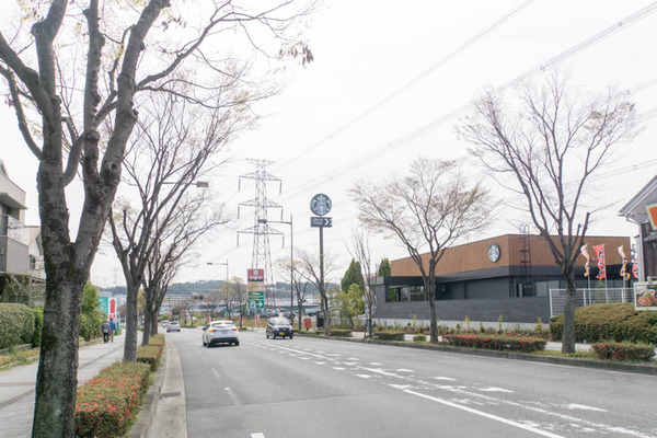 スタバ-1904051