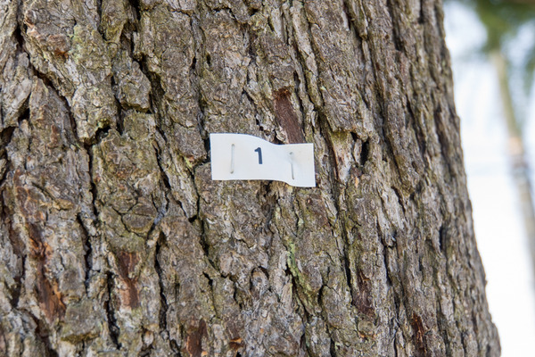 楠葉中町-2004076