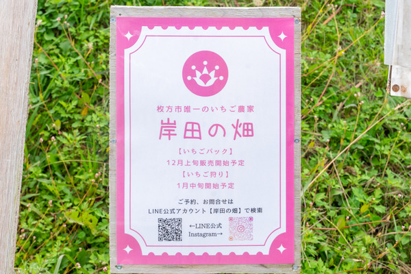 岸田の畑-2010221