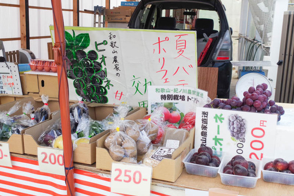 きんふる-2010074