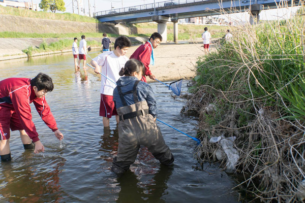 ぴー太郎-18041321
