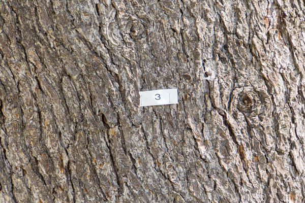 楠葉中町-2004077