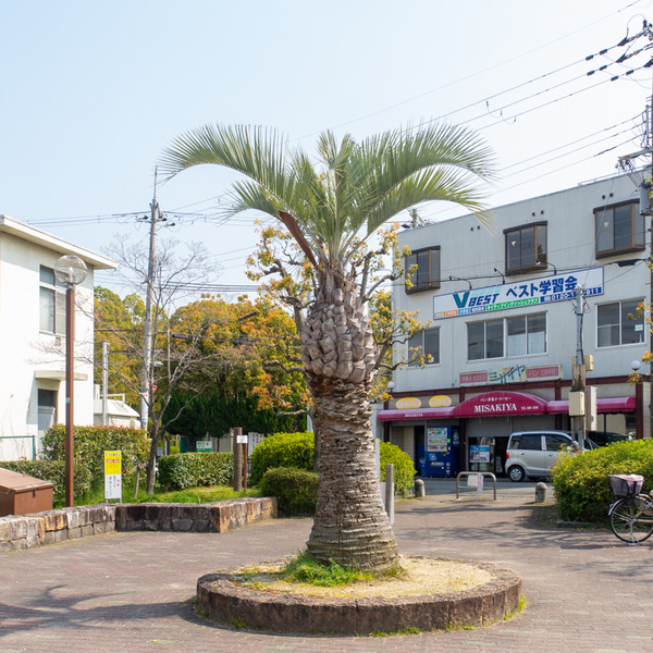 牧野公園-2004087