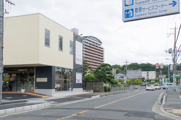 カプチーノヘアー-1705108