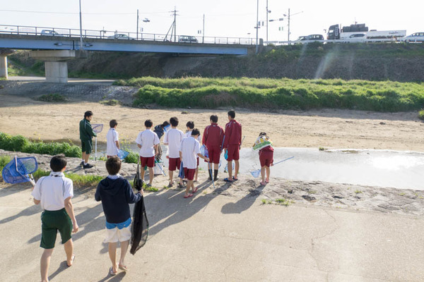 ぴー太郎-1804139