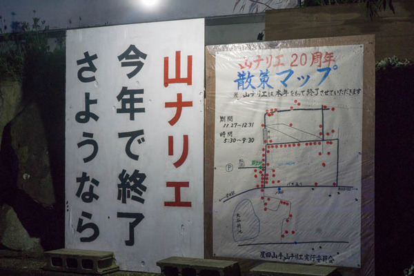 山ナリエ-16120938