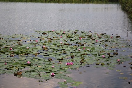 120915弟子えもん1