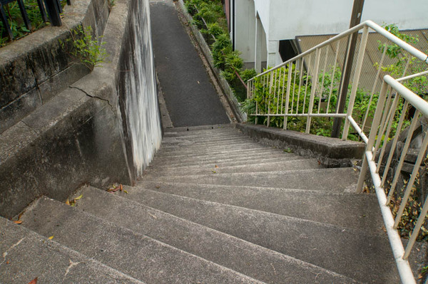 おすすめ道こ-1804177