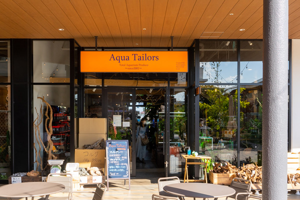 アクアテイラーズ-2010203