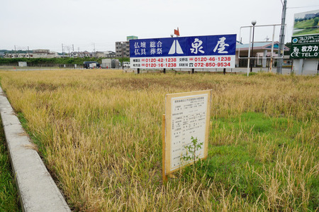 長尾播磨谷130606-04