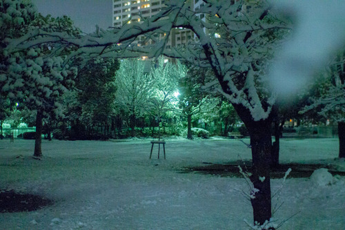 雪の正月-19