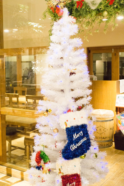 コシニールクリスマス-8