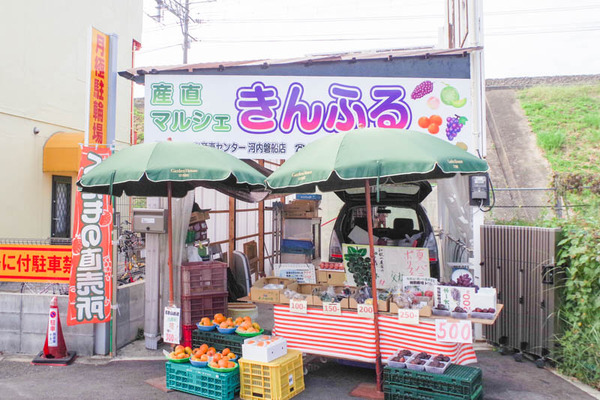 きんふる1-2010071