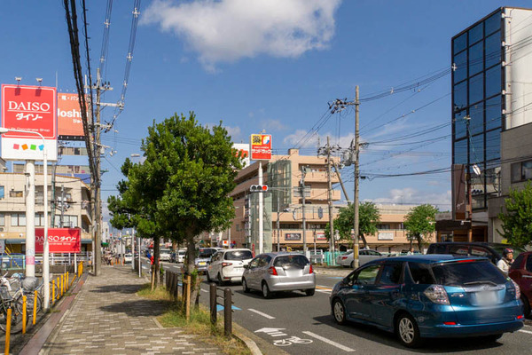 まめのき-1910152