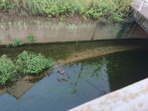 Photo_20-06-29-09-48-32.193