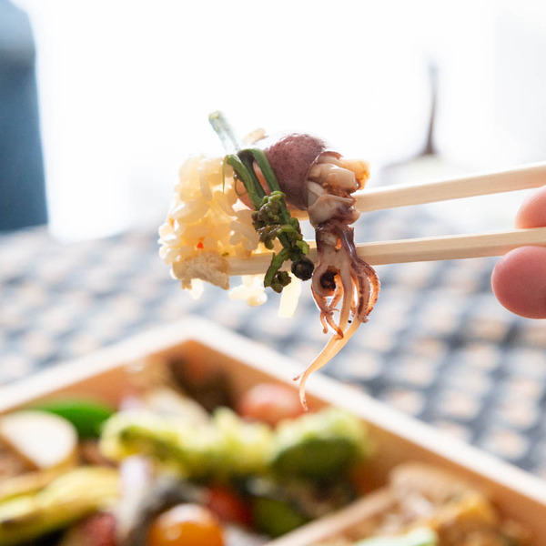 かささぎ2-2005011