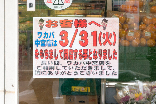 ワカバ2-15030301