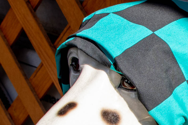 コーヒー-2101191