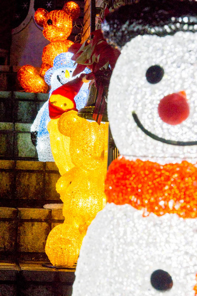 山ナリエ-16120915