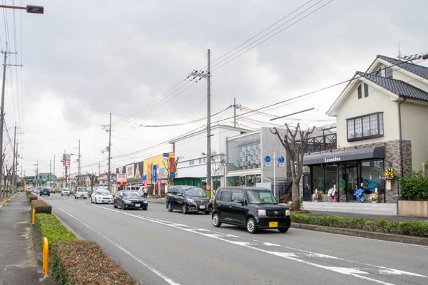 レオニダス-1912124