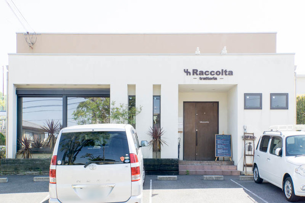 ラッコルタ-1804198