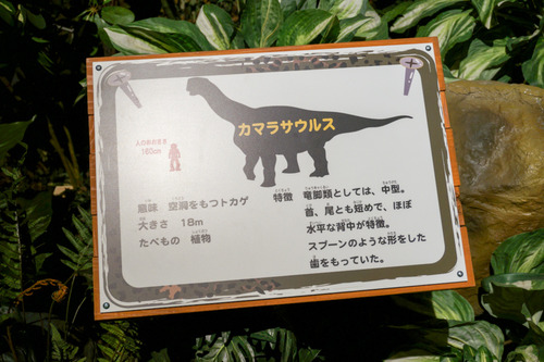 ひらパー恐竜大冒険-42