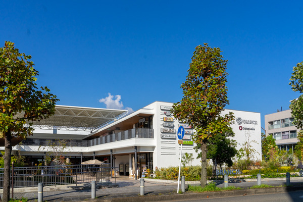 アクアテイラーズ-2010208